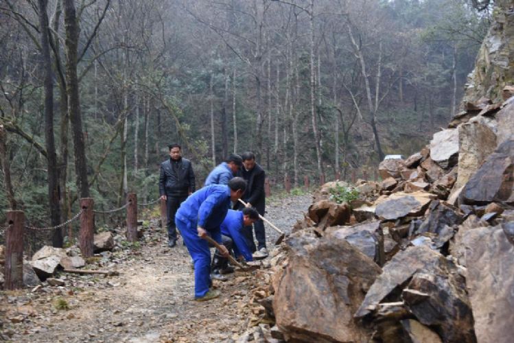 浙江鄭氏宗親企業家到黃山六百里猴魁茶業股份有限公司參觀考察.jpg